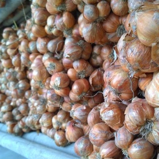 Purple Shallot Powder