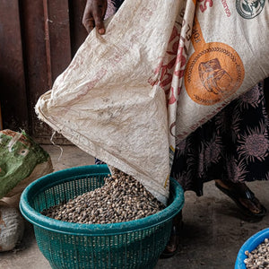 Sorting iru beans