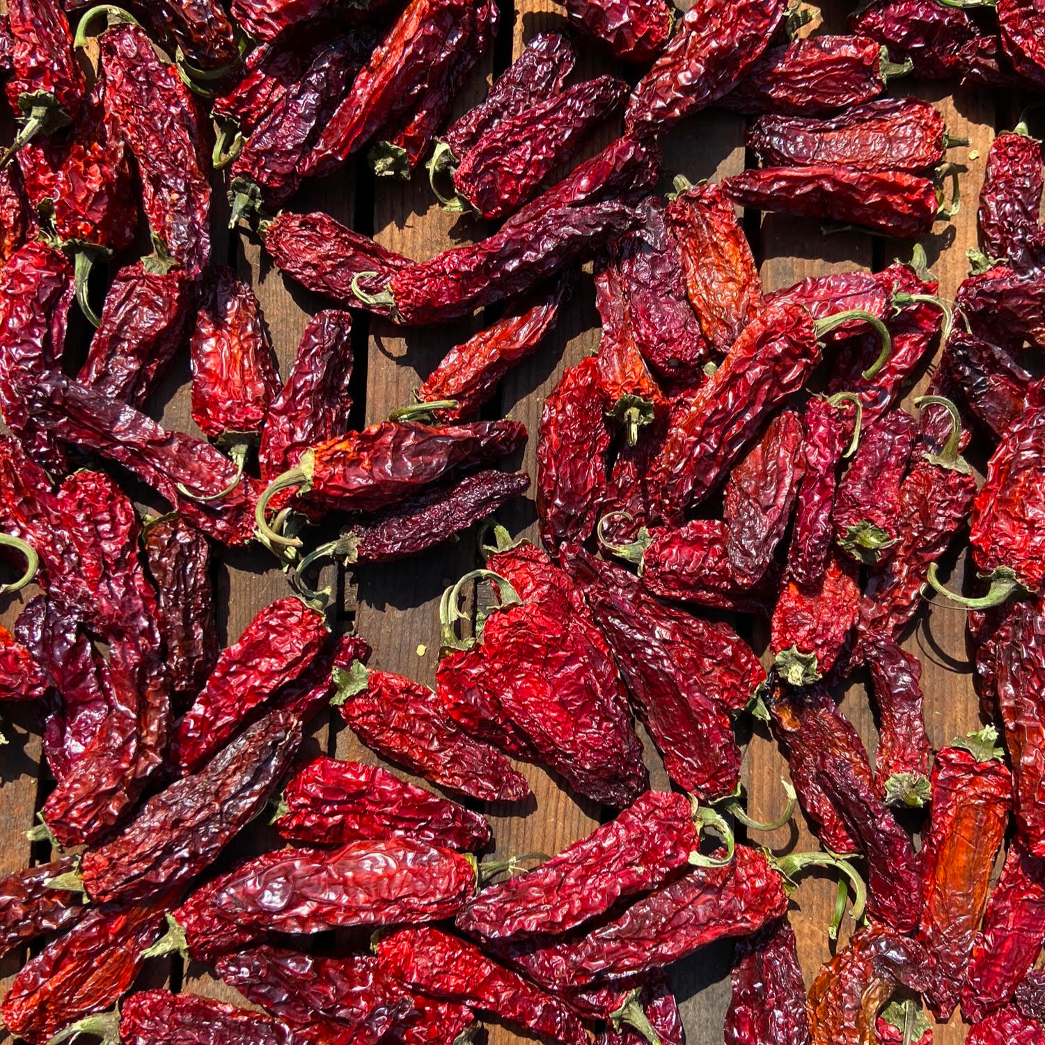 Red Jalapeño Chili Flakes