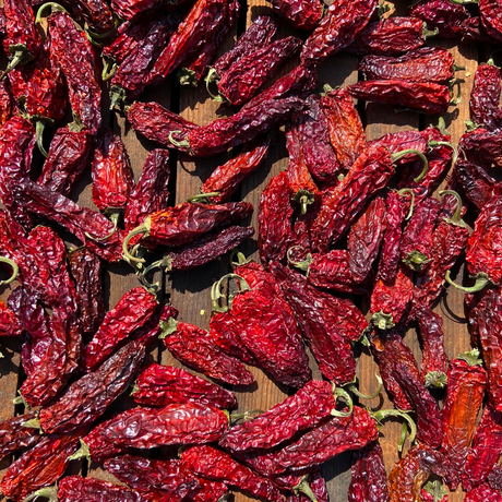 Jalapenos drying