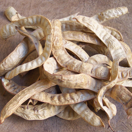 Wild Mesquite - Burlap & Barrel
