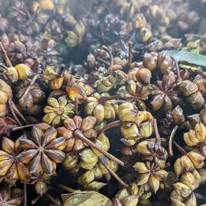 Smoked Star Anise - Burlap & Barrel
