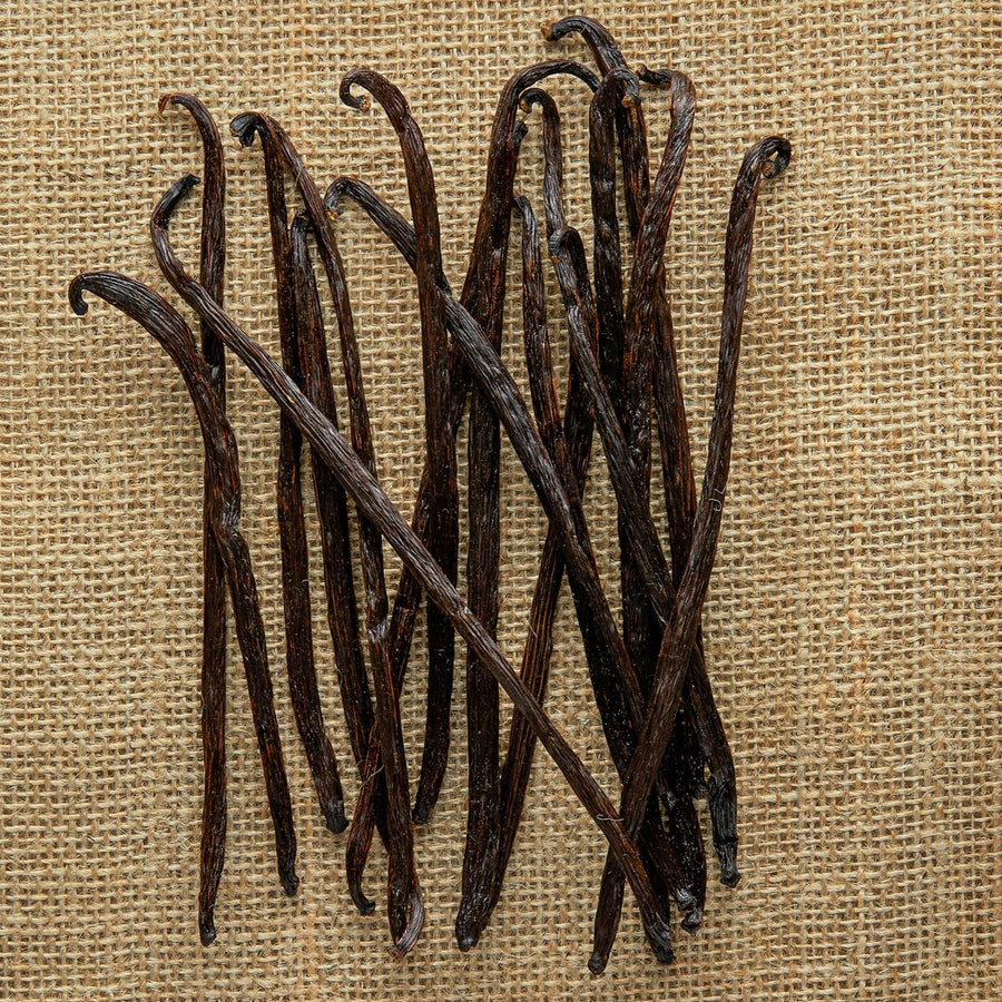 Vanilla Extract Kit • DIY Nyanza Vanilla Extract Kit| Burlap & Barrel