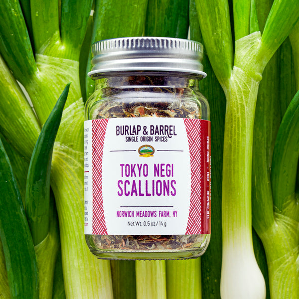 Tokyo Negi Scallions – Burlap & Barrel