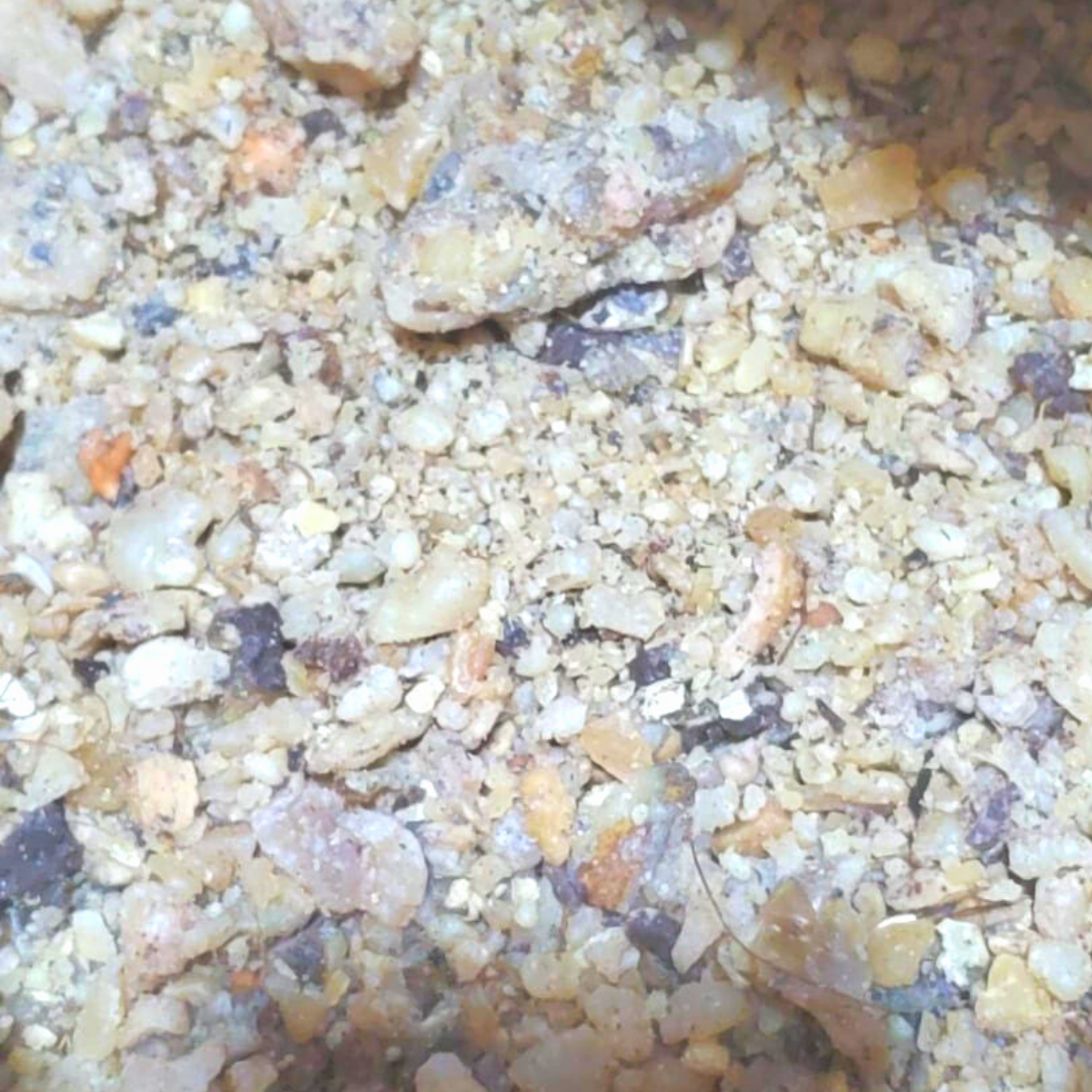 Crystallized hing before being ground