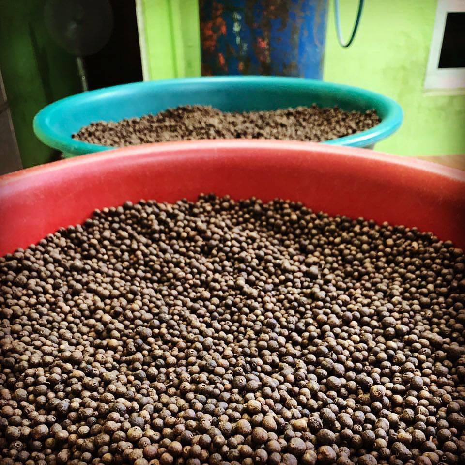 Allspice Berries - Burlap & Barrel Single Origin Spices