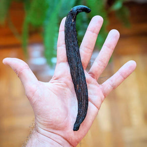 Wild Pompona Vanilla Powder